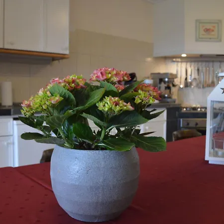 Luxury In * Noordbeemster